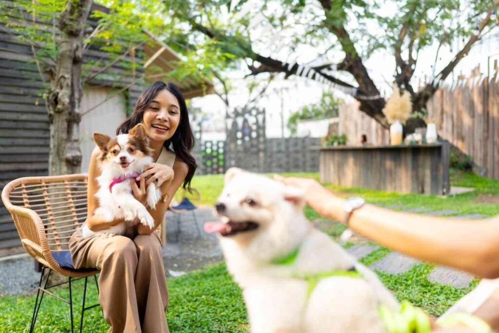 Choosing the Right Dog for Your Lifestyle