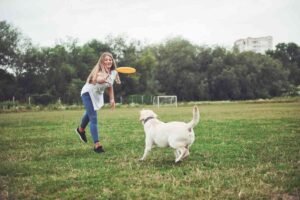 best toys for active dogs