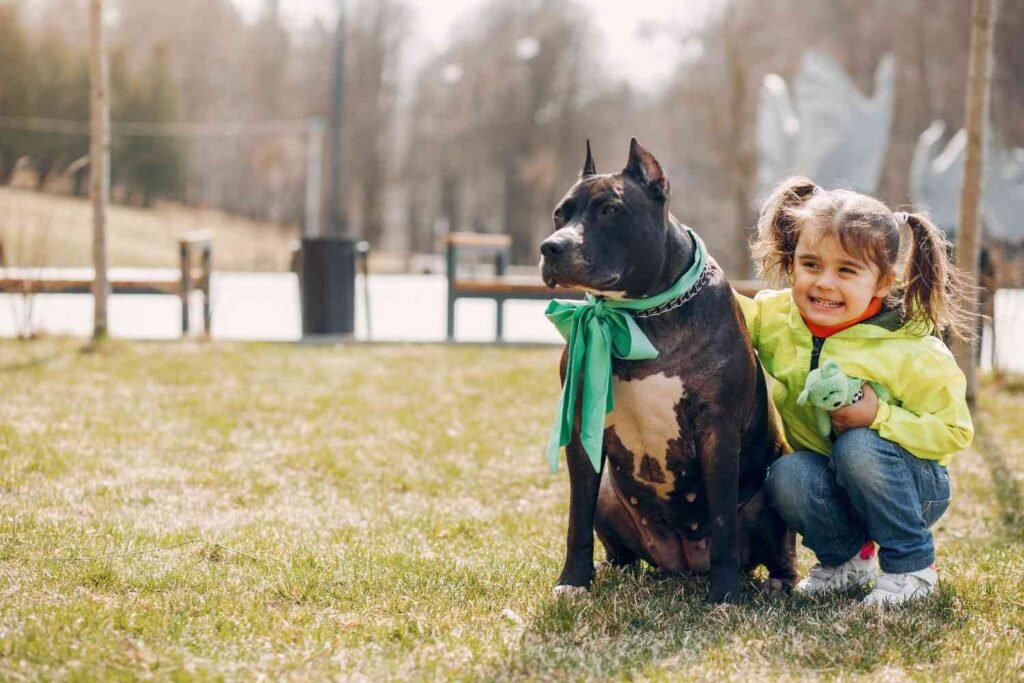 Small & Apartment-Friendly Breeds for Families