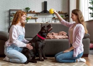 dog socialization tips