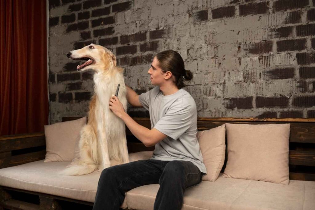 How Should Dog Owners Respond to Body Language?