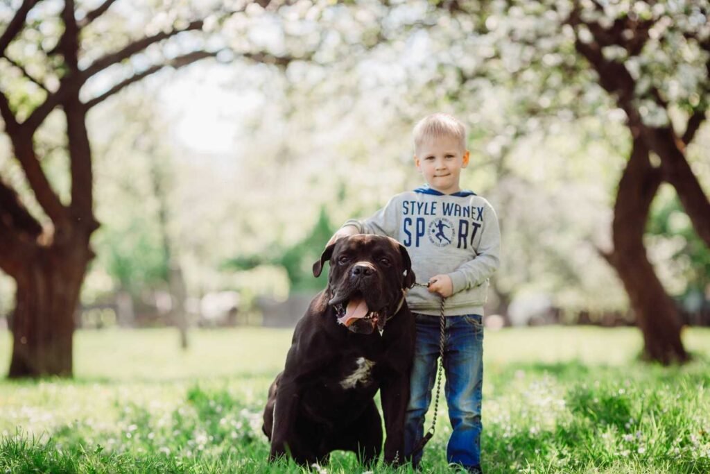 What Makes a Dog Truly Good With Children?