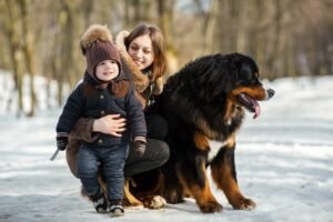 best guard dog breeds